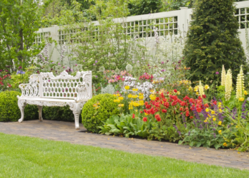 mywirelesscoupons garden