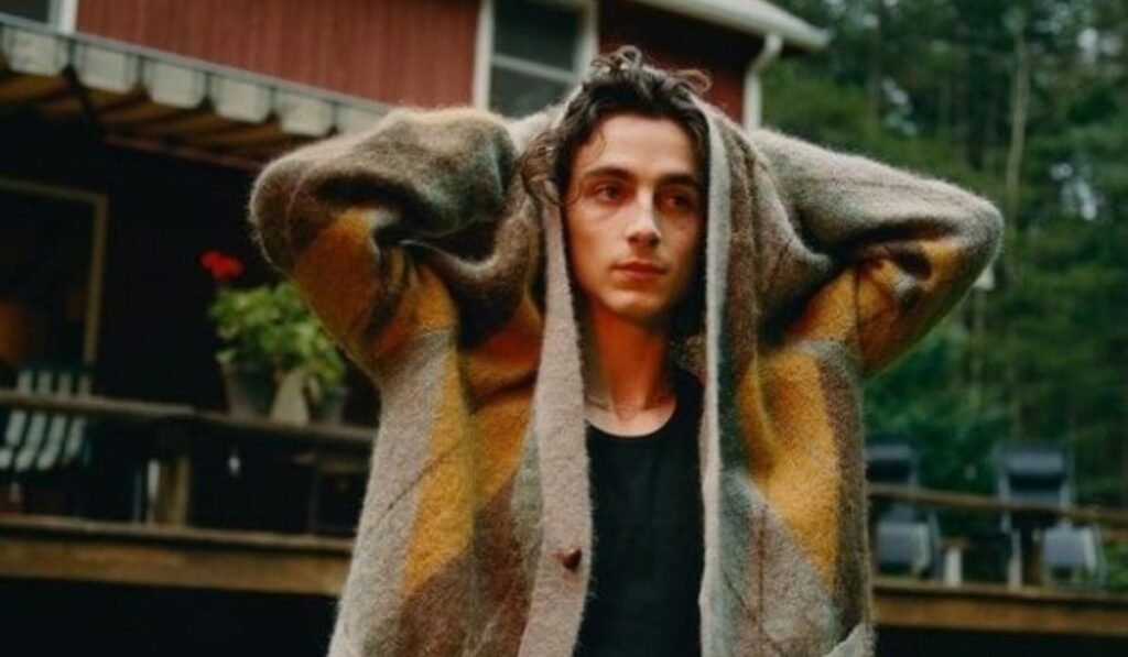 Timothée Chalamet