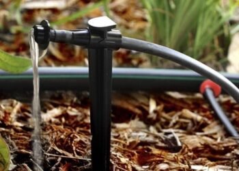 rain bird drip irrigation