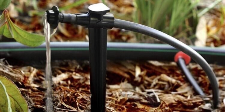 rain bird drip irrigation