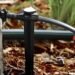 rain bird drip irrigation
