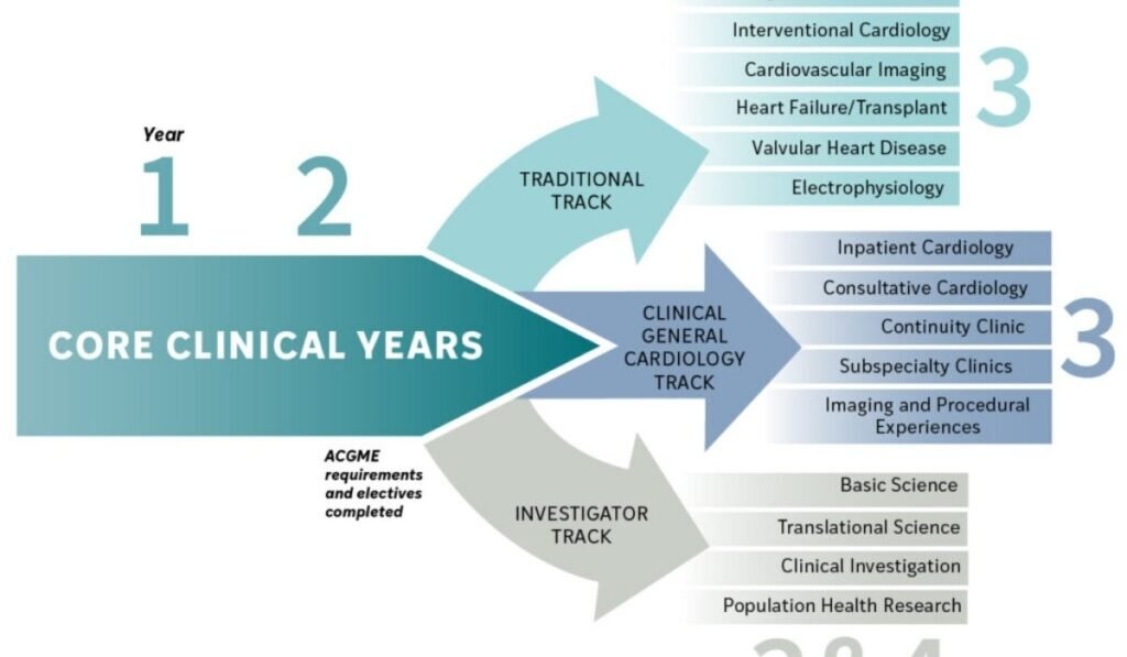 Cardiologist Career Path