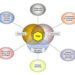 Cardiologist Career Path
