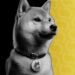 Doge Miner