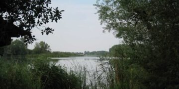Lakede