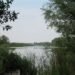 Lakede