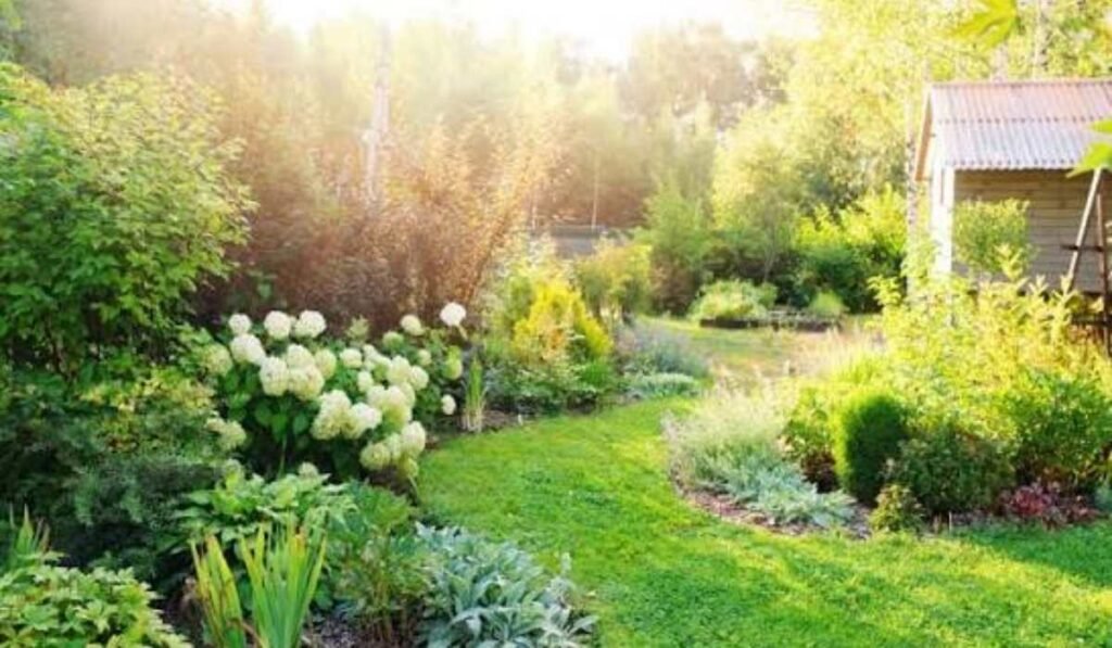 Layered Garden